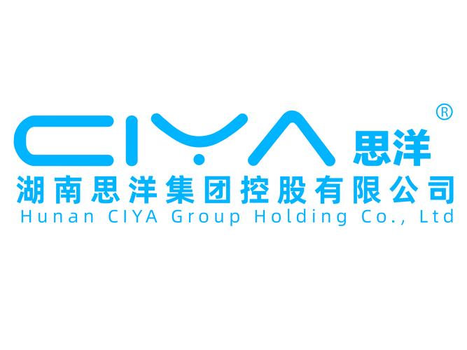 湖南思洋集团控股